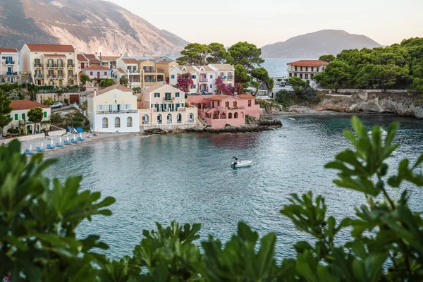 Assos Cephalonia Ionian Ilha Grécia Fig Folhas Primeiro Plano Verão — Fotografia de Stock