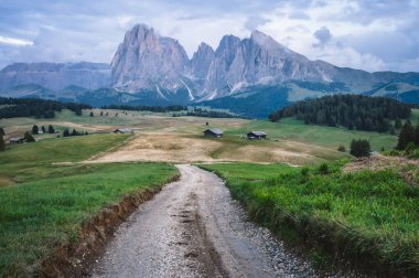 İtalyan Dolomiti Alpleri. Seiser Alm veya Alpe di Siusi konumu, Bolzano ili, Güney Tyrol, İtalya, Avrupa.