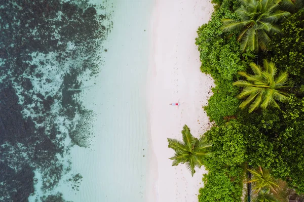 Egy Fiatal Légifotója Relaxáló Trópusi Paradicsomban Homokos Strandon Pálmafák Kristálytiszta — Stock Fotó