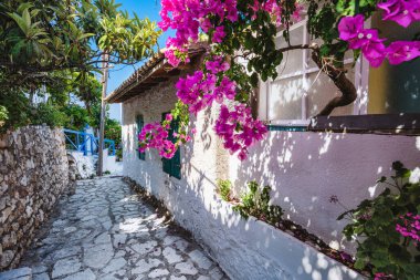 Fiskardo, Kefalonia, Yunanistan. Tipik Yunan sokak manzarası, beyaz taş, pembe çiçekler, güneşli bir günde yeşil yapraklar, seyahat kavramı..