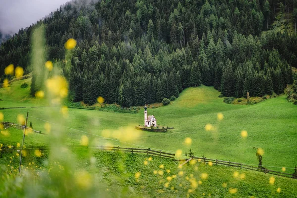 Capela Johann Vale Val Funes Tirol Sul Itália Flor Flor — Fotografia de Stock