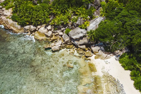 Elzárt Trópusi Egzotikus Strand Mély Dzsungelben Kókuszpálmafák Sziklás Part — Stock Fotó