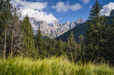 Val Venegia, Pale di San Martino dağları manzaralı grup, İtalyan Dolomitler, UNESCO Dünya Mirası Sitesi.