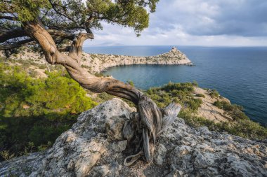 Arka planda dağlar ve deniz var. Novyi Svit, Kırım, Sudak. Kapchik adında bir pelerin, Karadeniz. Dağlar, deniz, orman manzaralı güzel bir manzara..