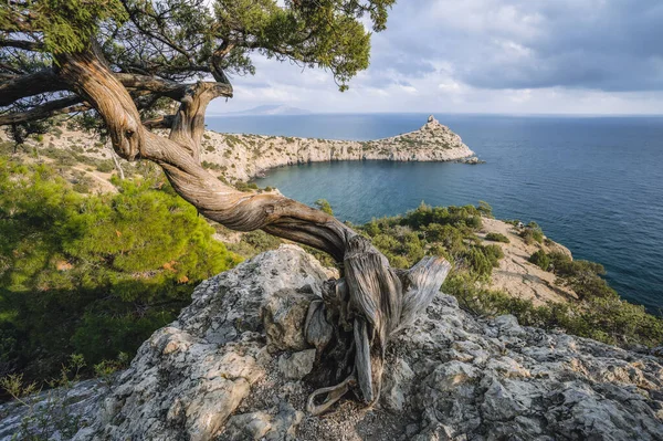 Arka planda dağlar ve deniz var. Novyi Svit, Kırım, Sudak. Kapchik adında bir pelerin, Karadeniz. Dağlar, deniz, orman manzaralı güzel bir manzara..