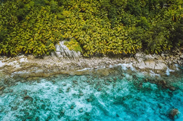 Diue 岛塞舌尔热带海滩拍摄的空中无人机棕榈树林和透明的蓝水 — 图库照片