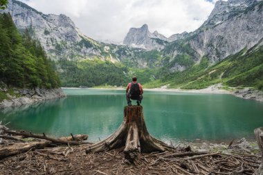 Ağaç kütüğünde seyyah bir adam. Yukarı Gosau Gölü 'ndeki Dachstein Tepesi' nin manzarası. Gosau, Salzkammergut, Avusturya, Avrupa.