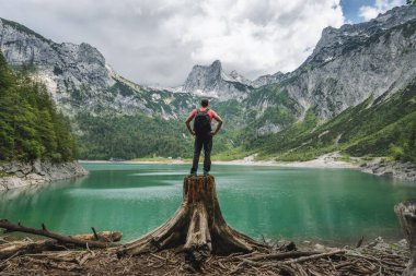 Ağaç kütüğünde duran gezgin, Yukarı Gosau Gölü 'ndeki Dachstein Tepesi' nin manzarası. Gosau, Salzkammergut, Avusturya, Avrupa.