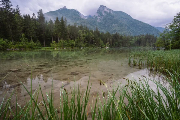 Lac Hintersee Avec Reflet Des Sommets Montagne Watzmann Ramsau Berchtesgaden — Photo