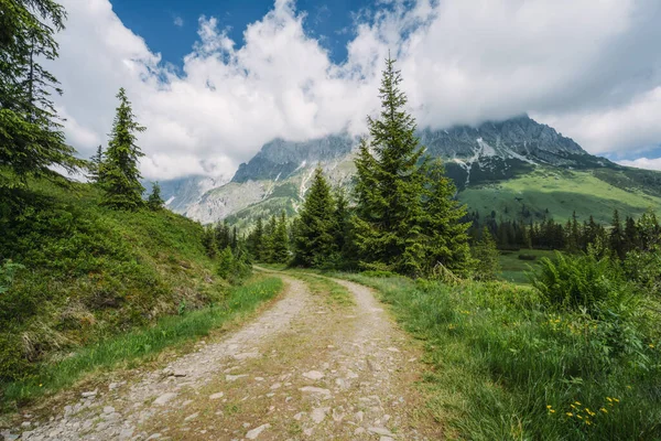 Avusturya, Tirol 'deki Wilder Kaiser dağlarında yürüyüş parkurları..