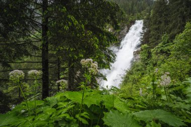 Grawa Şelalesinin tepesinde Stubai Vadisi manzaralı, Tyrol, Avusturya.
