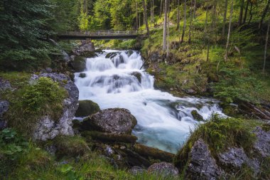 Waldbachstrub 'daki orman nehri Hallstatt yakınlarında, Escherntal Avusturya.