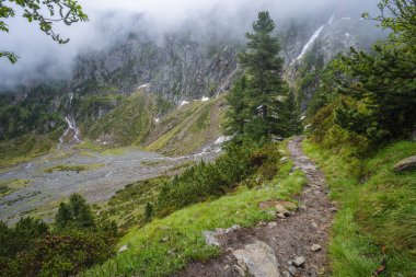 Sarmal deresi ve buzul gölü olan Alp Dağı Vadisi 'nin yaz manzarası. Sulzenau Alm, Stubai Alpleri, Avusturya.
