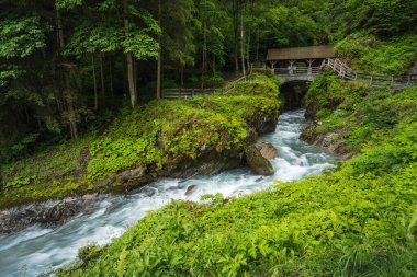 Güzel Sigmund Thun Klamm Vadisi Avusturya, Avrupa.
