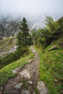 Sarmal deresi ve buzul gölü olan Alp Dağı Vadisi 'nin yaz manzarası. Sulzenau Alm, Stubai Alpleri, Avusturya.