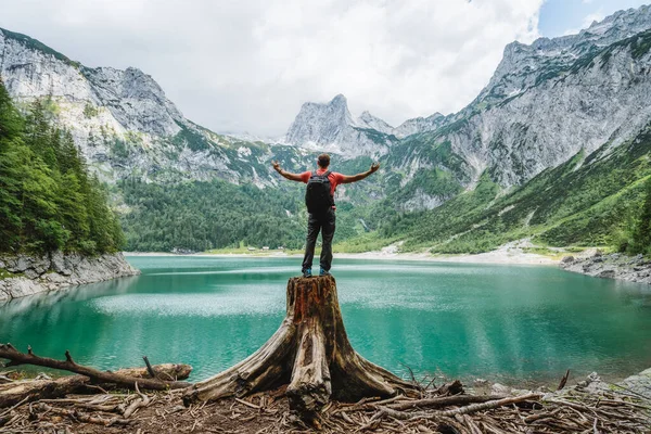 Viajante Feliz Toco Árvore Admirando Montanhas Pico Dachstein Lago Gosau — Fotografia de Stock