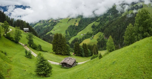 Bella Natura Idilliaca Prato Verde Paesaggio Delle Alpi Catene Montuose — Foto Stock