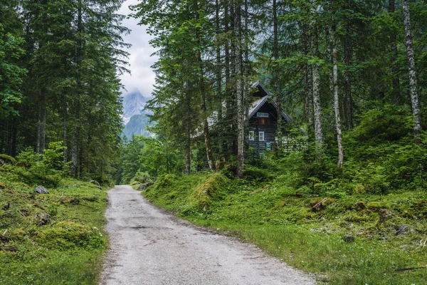 Caminho Para Upper Gosau Lake Dachstein Áustria — Fotografia de Stock