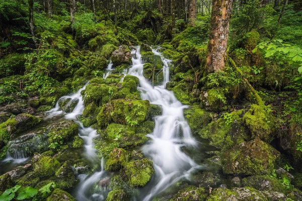 Bachlauf Wald Ramsau Berchtesgaden Bayern Deutschland Europa — Stockfoto