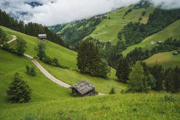 阿尔卑斯山秀丽的田园诗般的自然绿草场景观层出不穷 奥地利航空照片 — 图库照片