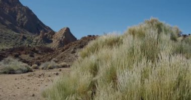 Teide Ulusal Parkı, volkanın zirvesine kuş bakışı bir bakış. Teide 'nin antik krateri. Kraterin yüzeyindeki İHA uçuşu, Tenerie 'nin en yüksek noktasının zirvesine fırlatıldı.. 