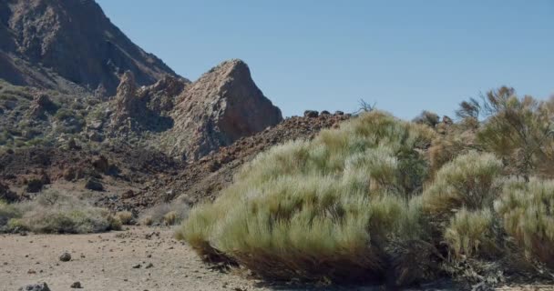 Teide-Nationalpark, eine Vogelperspektive auf den Gipfel des Vulkans. Uralter Krater des Teide. Drohnenflug auf der Oberfläche des Kraters mit Start zum Gipfel des höchsten Punktes Teneriffas. — Stockvideo