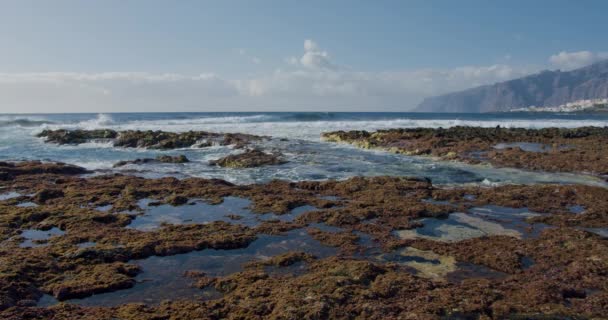 Punta Juanita Veya Punte Blanco Sahilleri Puerto Santiago Tenerife — Stok video