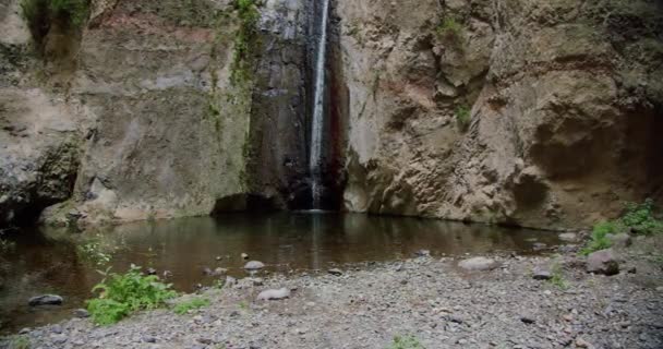 西班牙Tenerife的Barranco Del Infierno瀑布 — 图库视频影像