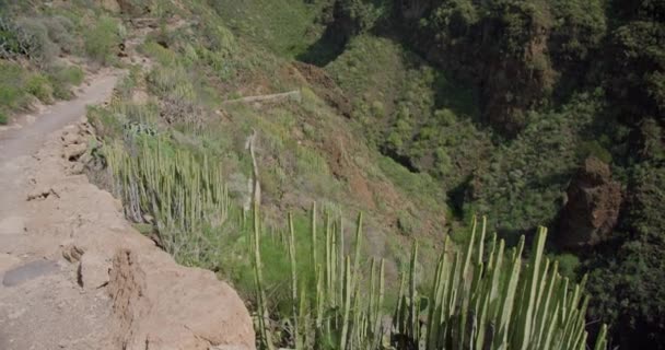 Ущелье Барранко Дель Инфьерно Острове Тенерифе Испания — стоковое видео