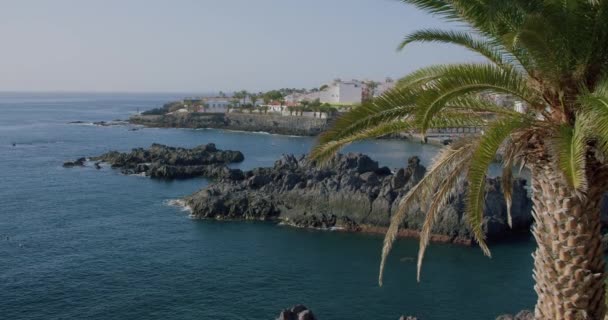 位于西班牙加那利群岛Tenerife南海岸的Alcala 一个小港口和渔镇 — 图库视频影像