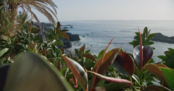 Pedras Negras Praia Vulcânica Oceano Atlântico Costa Sul Tenerife Ilhas — Vídeo de Stock