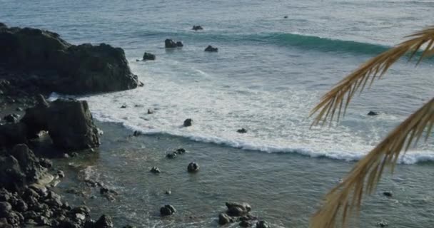 大西洋黑石火山海滩 西班牙加那利群岛特内里费岛南岸 波浪形成泡沫并在岩石海岸上碰撞 棕榈树 — 图库视频影像