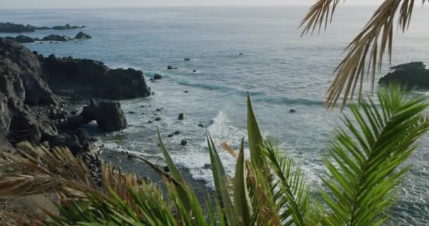 Fekete Kövek Vulkanikus Strand Atlanti Óceán Déli Partján Tenerife Kanári — Stock videók
