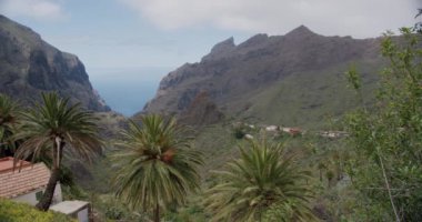 Masca Boğazı ve İspanya 'nın Kanarya Adaları' ndaki Tenerife Adası 'ndaki köy..