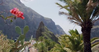 Masca Boğazı ve İspanya 'nın Kanarya Adaları' ndaki Tenerife Adası 'ndaki köy..