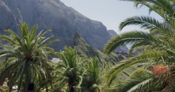 Masca Szurdok Falu Tenerife Szigetén Kanári Szigetek Spanyolország — Stock videók