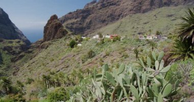 Masca Boğazı ve İspanya 'nın Kanarya Adaları' ndaki Tenerife Adası 'ndaki köy..
