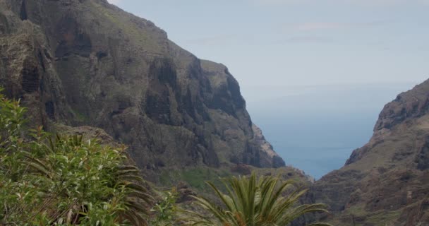 Masca Boğazı Spanya Nın Kanarya Adaları Ndaki Tenerife Adası Ndaki — Stok video