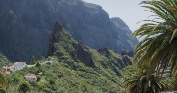 Hojas Palmeras Tropicales Moviéndose Viento Masca Gorge Tenerife Islas Canarias — Vídeo de stock