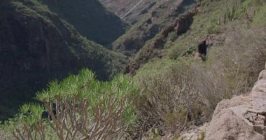 İspanya 'nın Tenerife Adası' ndaki Barranco Del Infierno vadisi. Adeje kasabasının manzarası. Hiç kimse. Yüksek kaliteli görüntüler.