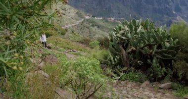 Masca Vadisi ve Tenerife köyü. Sırt çantalı güzel genç bayan turist mekanı ziyaret ediyor. Yavaş çekim