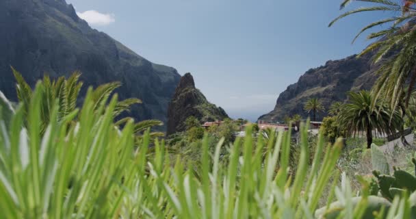 Masca Schlucht Und Dorf Auf Der Insel Teneriffa Kanarische Inseln — Stockvideo