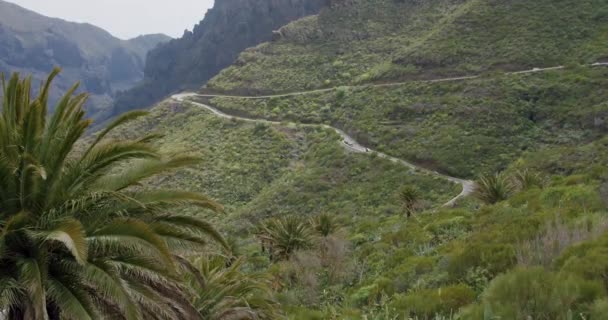 マスカ渓谷の曲がりくねった道 スペインのカナリア諸島テネリフェ島 — ストック動画