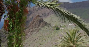 Masca Vadisi ve köyü, Tenerife, Kanarya Adaları, İspanya.