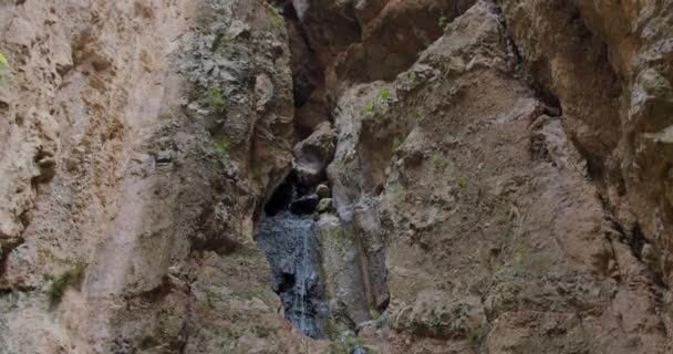 Cachoeira Final Trilha Caminhadas Barranco Del Infierno Adeje Tenerife Ilhas — Vídeo de Stock