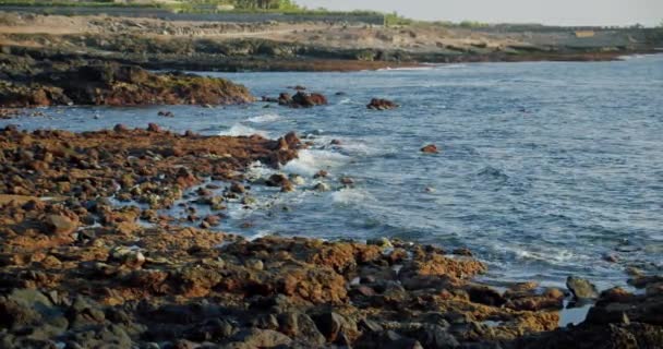 圣地亚哥港 特内里费 潘塔布兰卡或潘塔胡安妮塔 最好的地方冲浪或冷却放松 黑色岩石火山海滩 — 图库视频影像