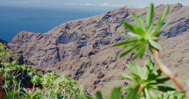 Masca Gorge Sonu Masca Sahili Playa Masca Tenerife Kanarya Adaları — Stok video