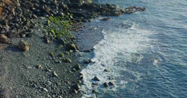 黒砂と石 テネリフェ島と大西洋のロッキー火山ビーチ スローモーション 海岸の石は緑藻で覆われている 干潮時 — ストック動画