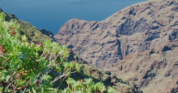 Masca Gorge Sonu Masca Sahili Playa Masca Tenerife Kanarya Adaları — Stok video