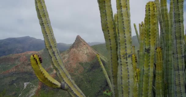 Teno Mountain Gorge Och Canyon Mellan Maska Och Tamaimo Teneriffa — Stockvideo